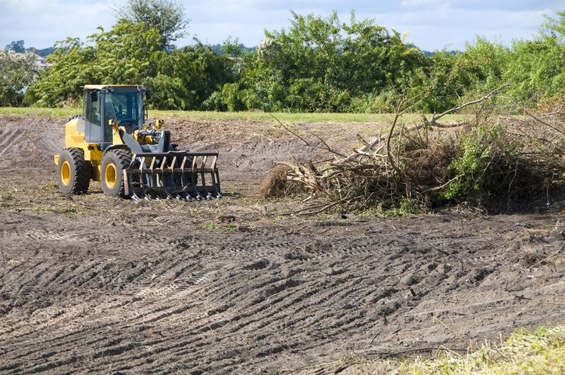 Reduces wildfire fuel buildup