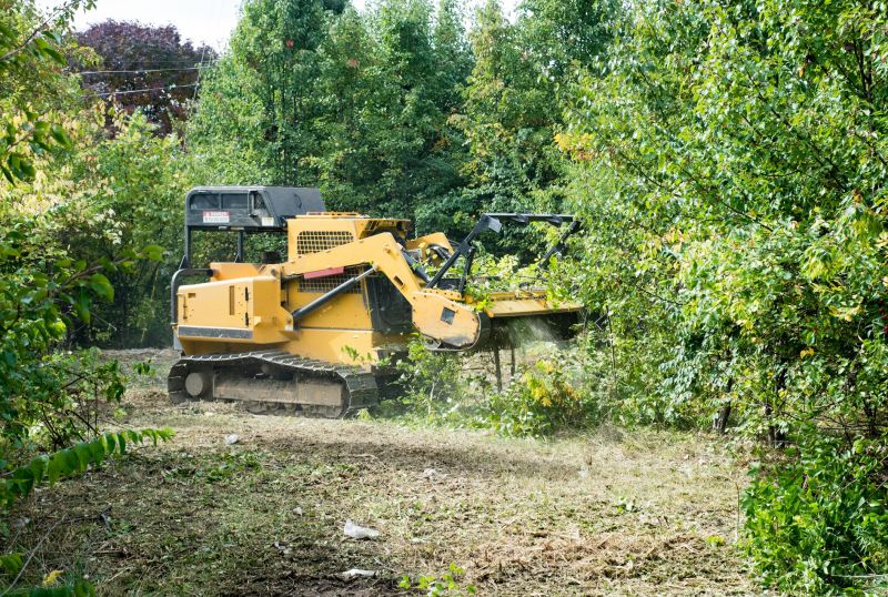 Underbrush Clearing in Atlanta, GA